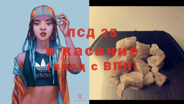 прущие грибы Алзамай