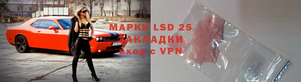 прущие грибы Алзамай