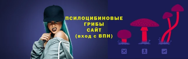 прущие грибы Алзамай