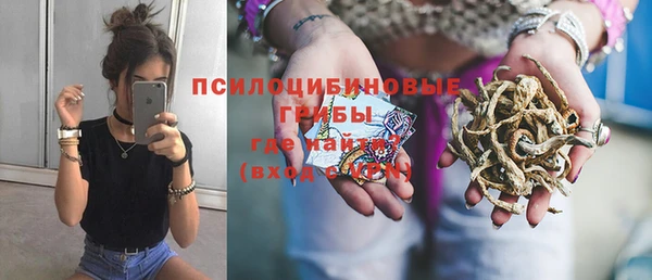 прущие грибы Алзамай